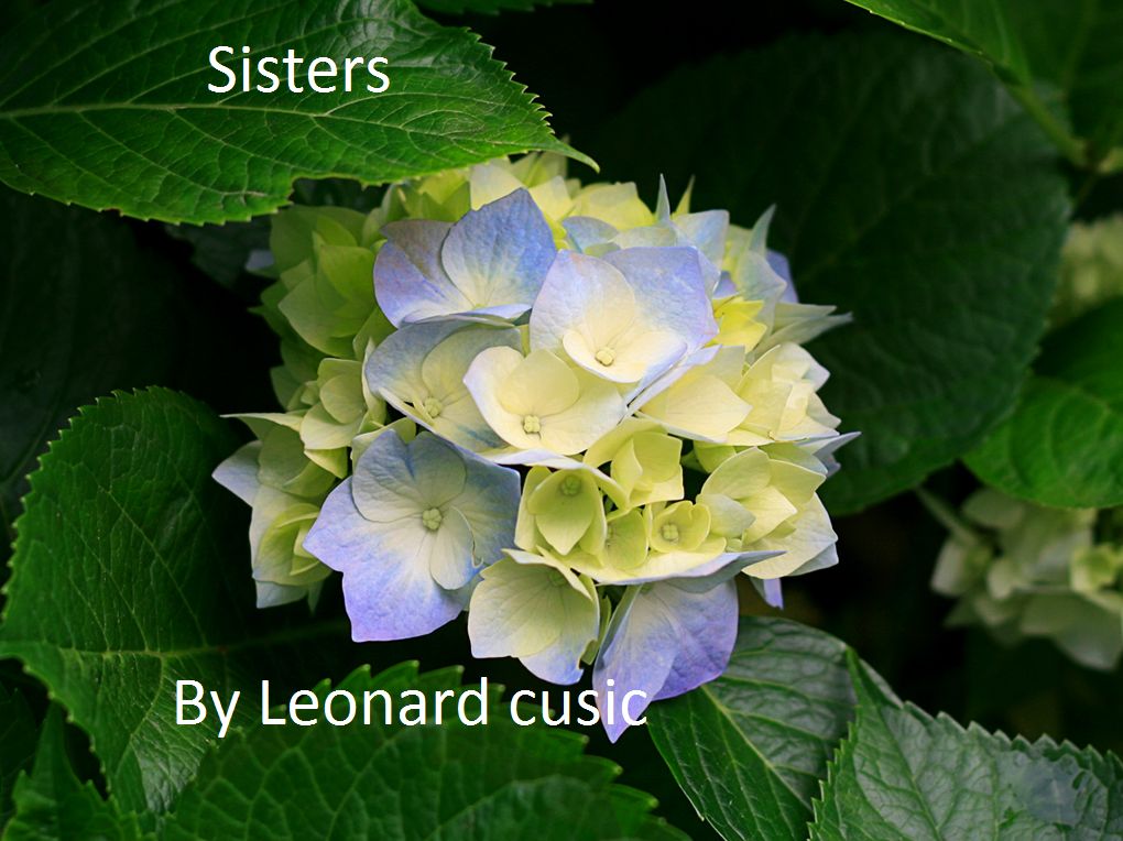 Sisters
