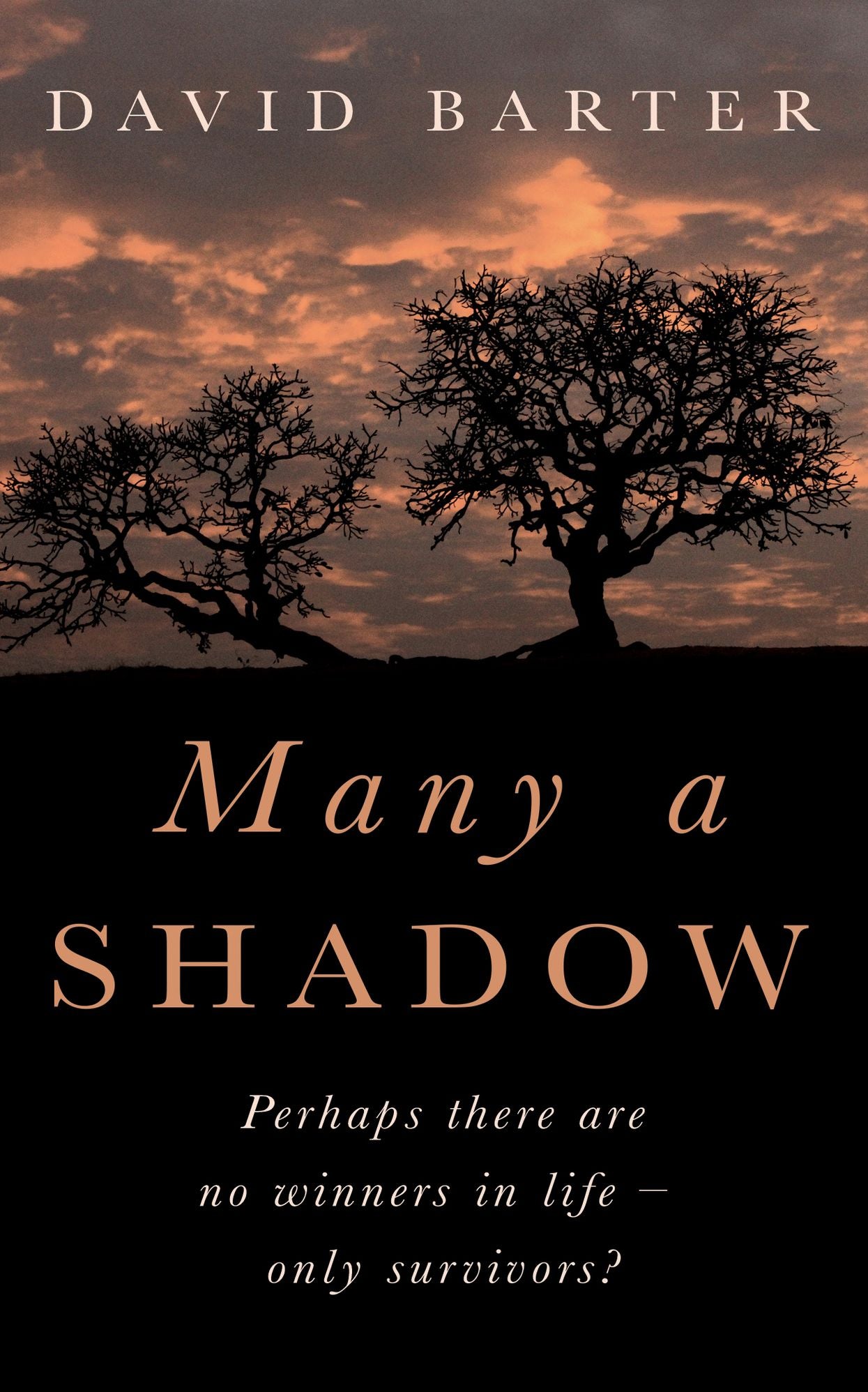 Many A Shadow
