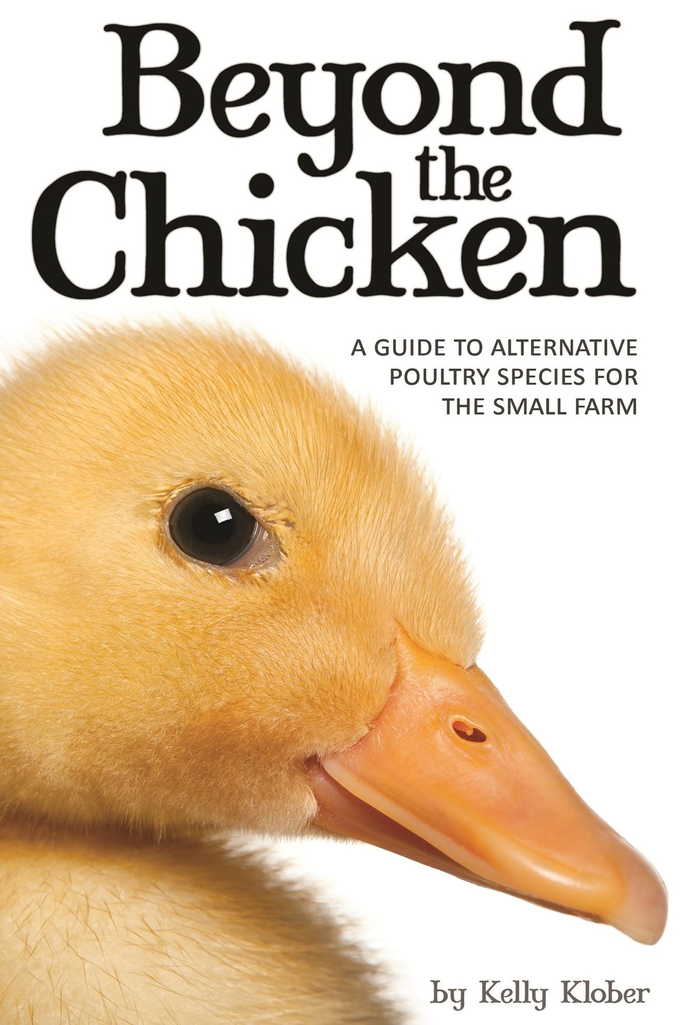 Beyond the Chicken: A Guide to Alternative Poultry Species for the Small Farm