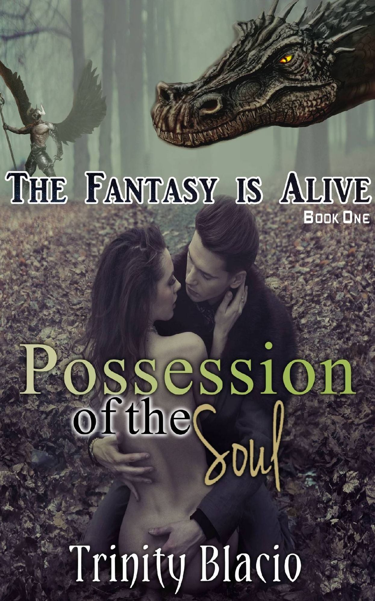 Possession of the Soul - Book One of the Fantasy is Alive Series