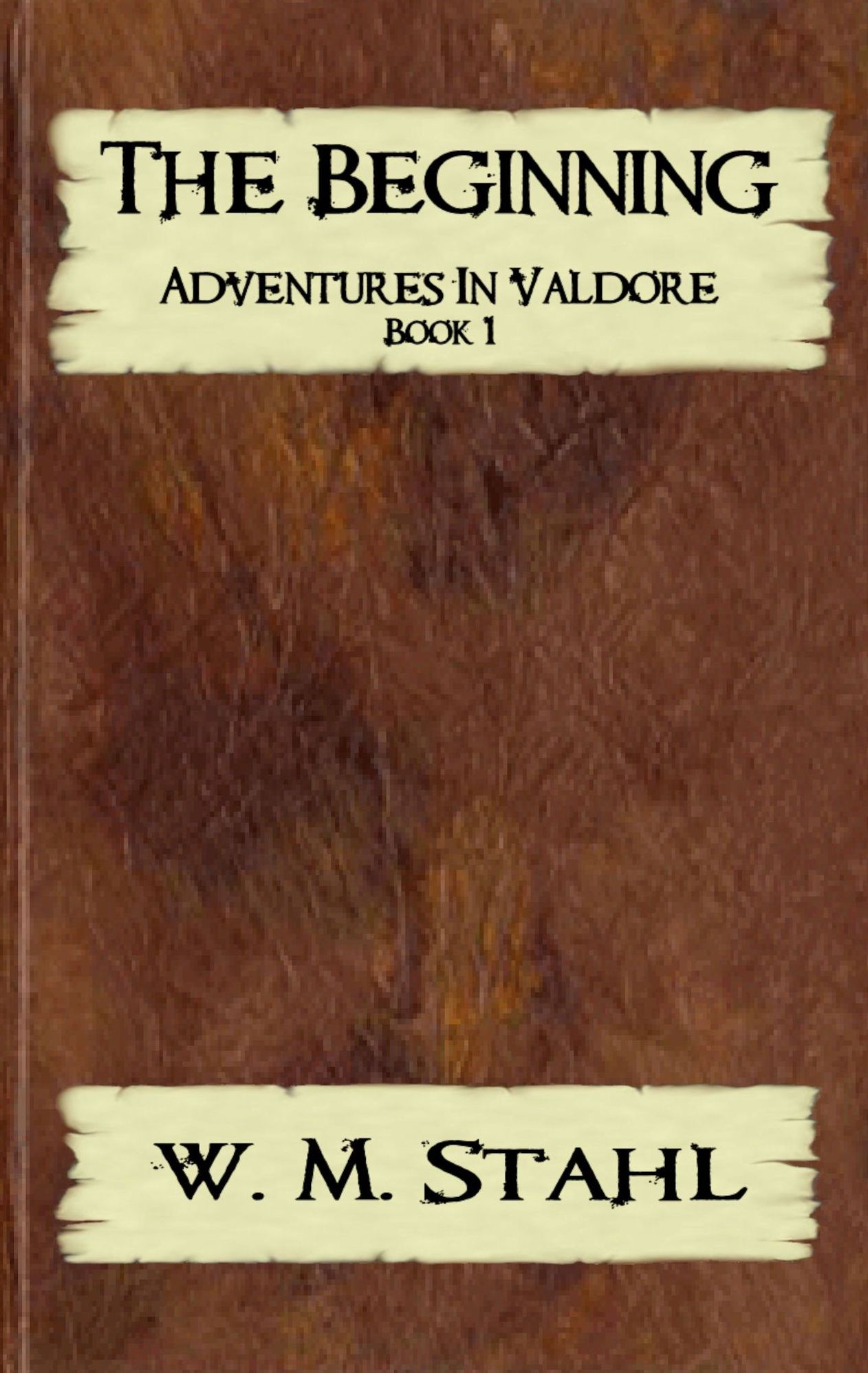 The Beginning (Adventures in Valdore Book 1)