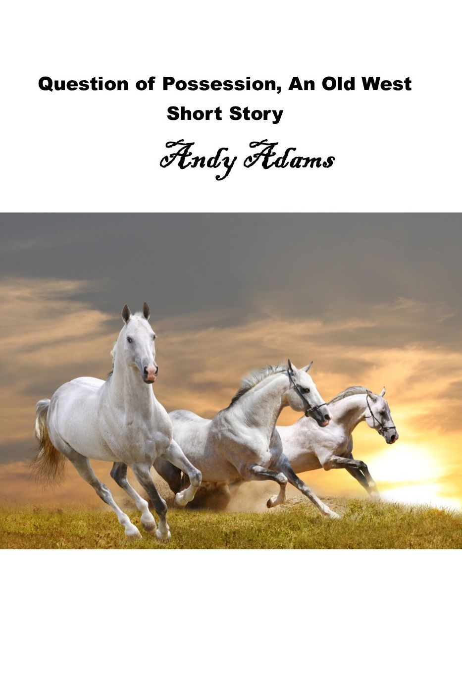 Question of Possession, An Old West Short Story