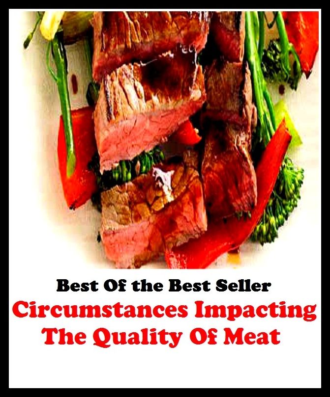 Best of the best seller Circumstances Impacting The Quality Of Meat(bread, cooking, cuisine, drink,fare, feed, foodstuff, meal, meat, snack, aliment)
