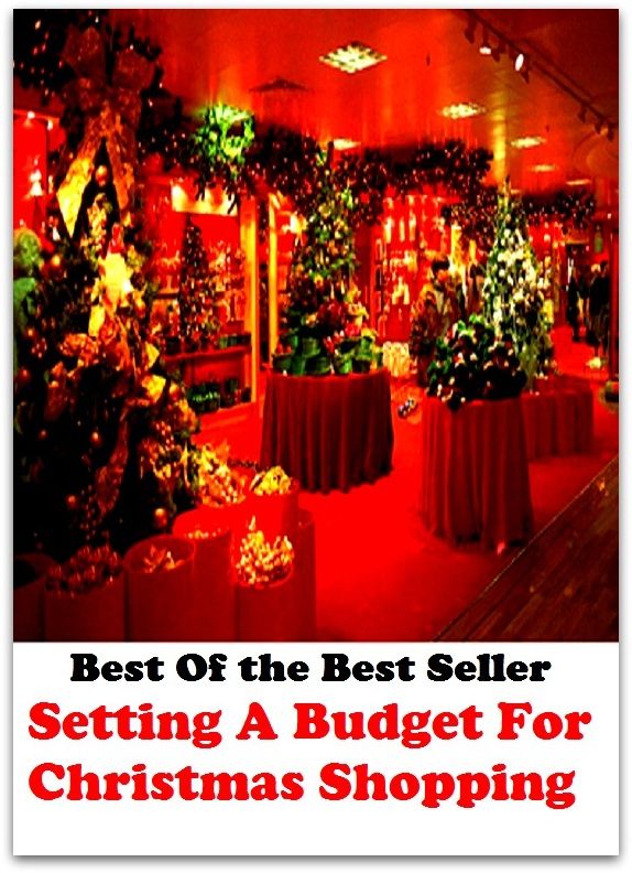best of the best seller Setting A Budget For Christmas Shopping (browsing, e-commerce, spending, purchasing, electronic, commerce, acquiring, obtaining, possession, procuring)