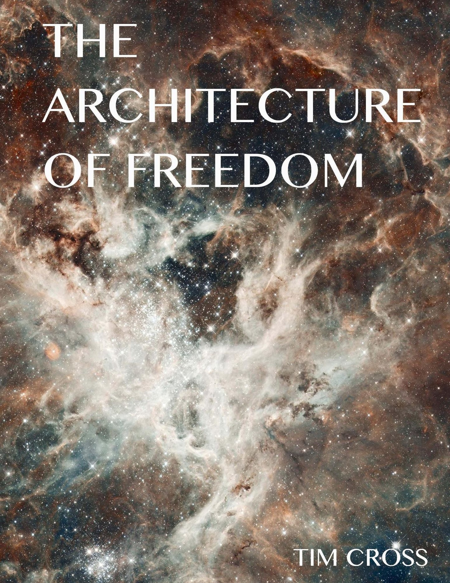 THE ARCHITECTURE OF FREEDOM