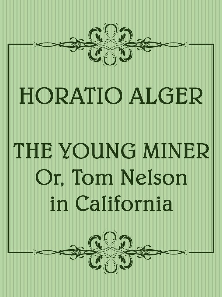 The Young Miner; Or, Tom Nelson in California