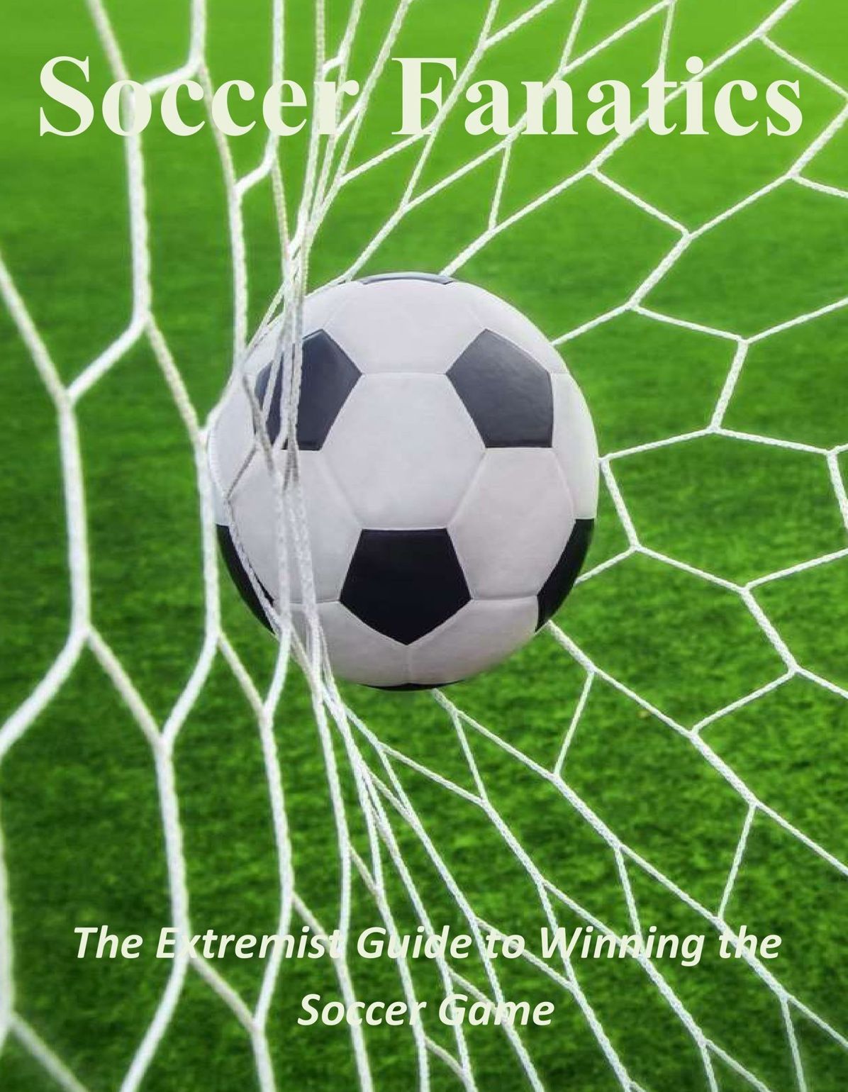 Soccer Fanatics: The Extremist Guide to Winning the Soccer Game