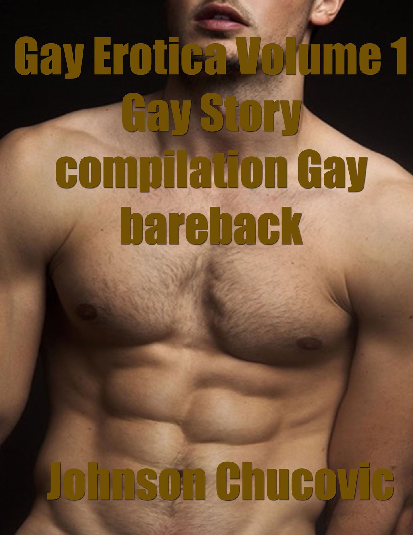 Gay Erotica Volume 1 Gay Story compilation Gay bareback