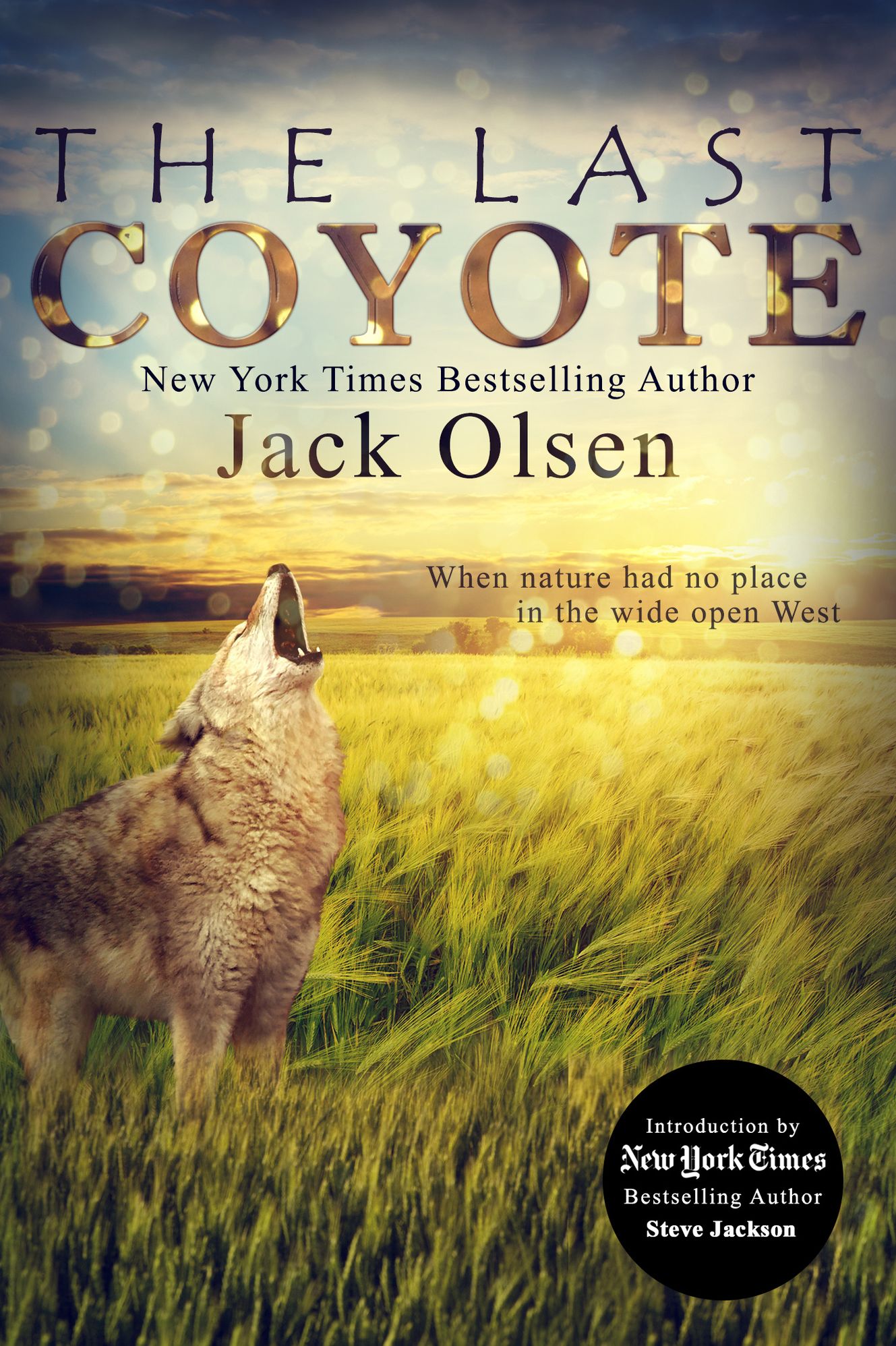 The Last Coyote