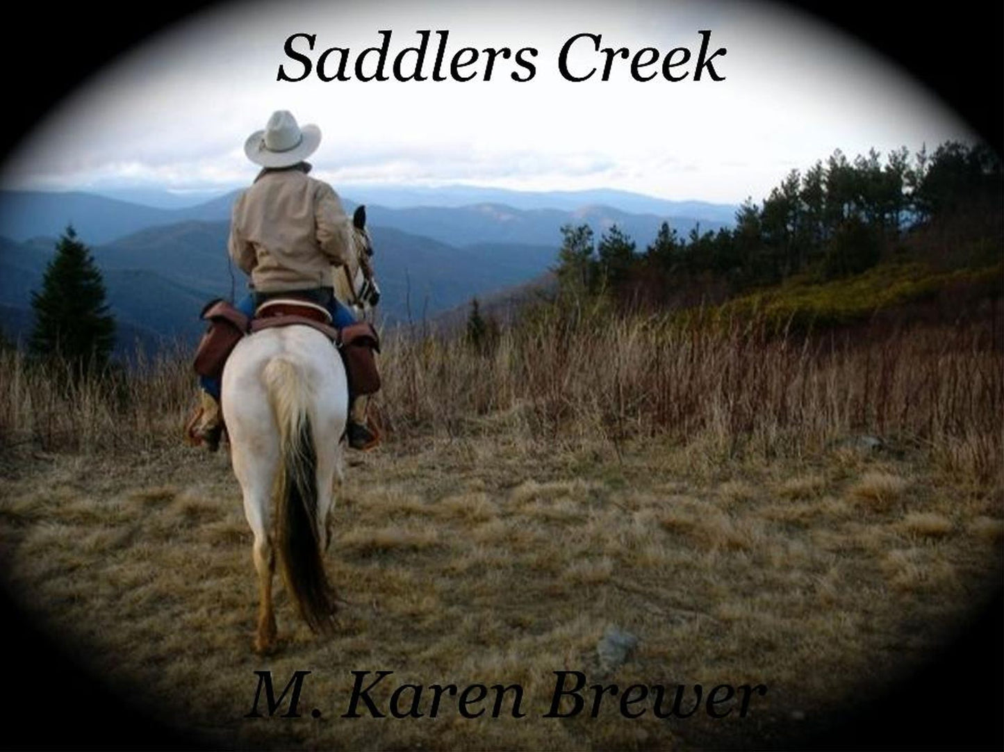 Saddlers Creek (a western novella)