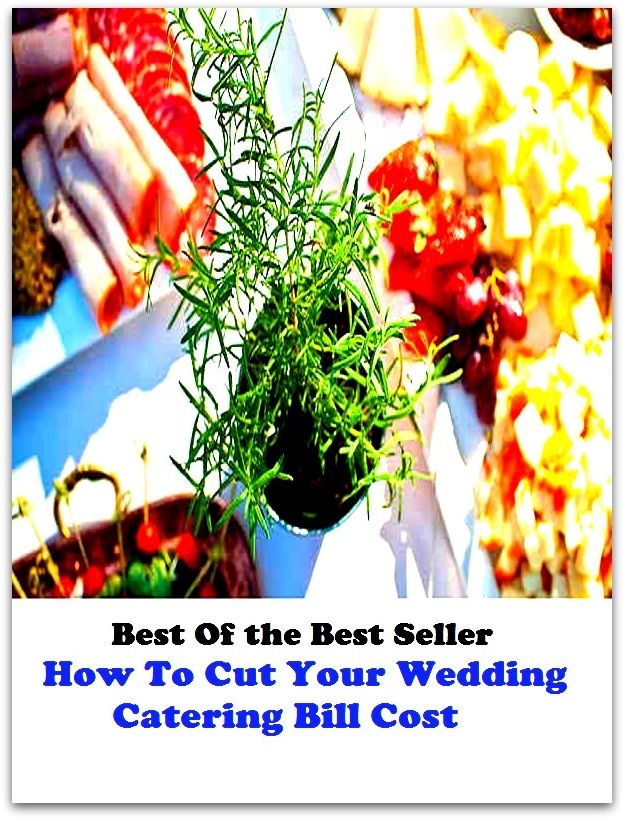 Best of the best seller How To Cut Your Wedding Catering Bill Cost (value, worth, price, expense, charge, damage, expenditure, tariff, outlay, figure)