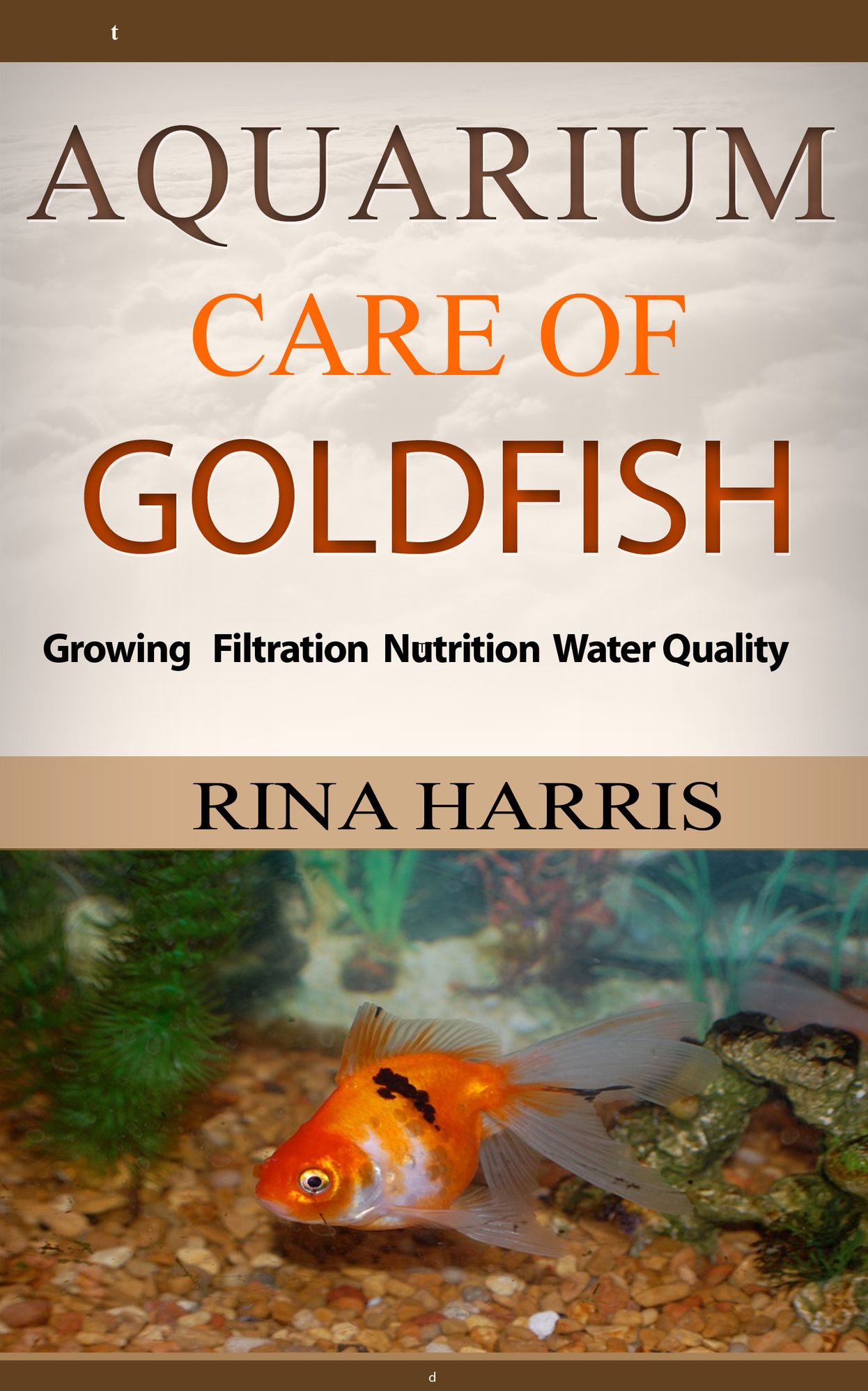 Aquarium Care Of Goldfish : Growing Filtration Nutrition Water Quality