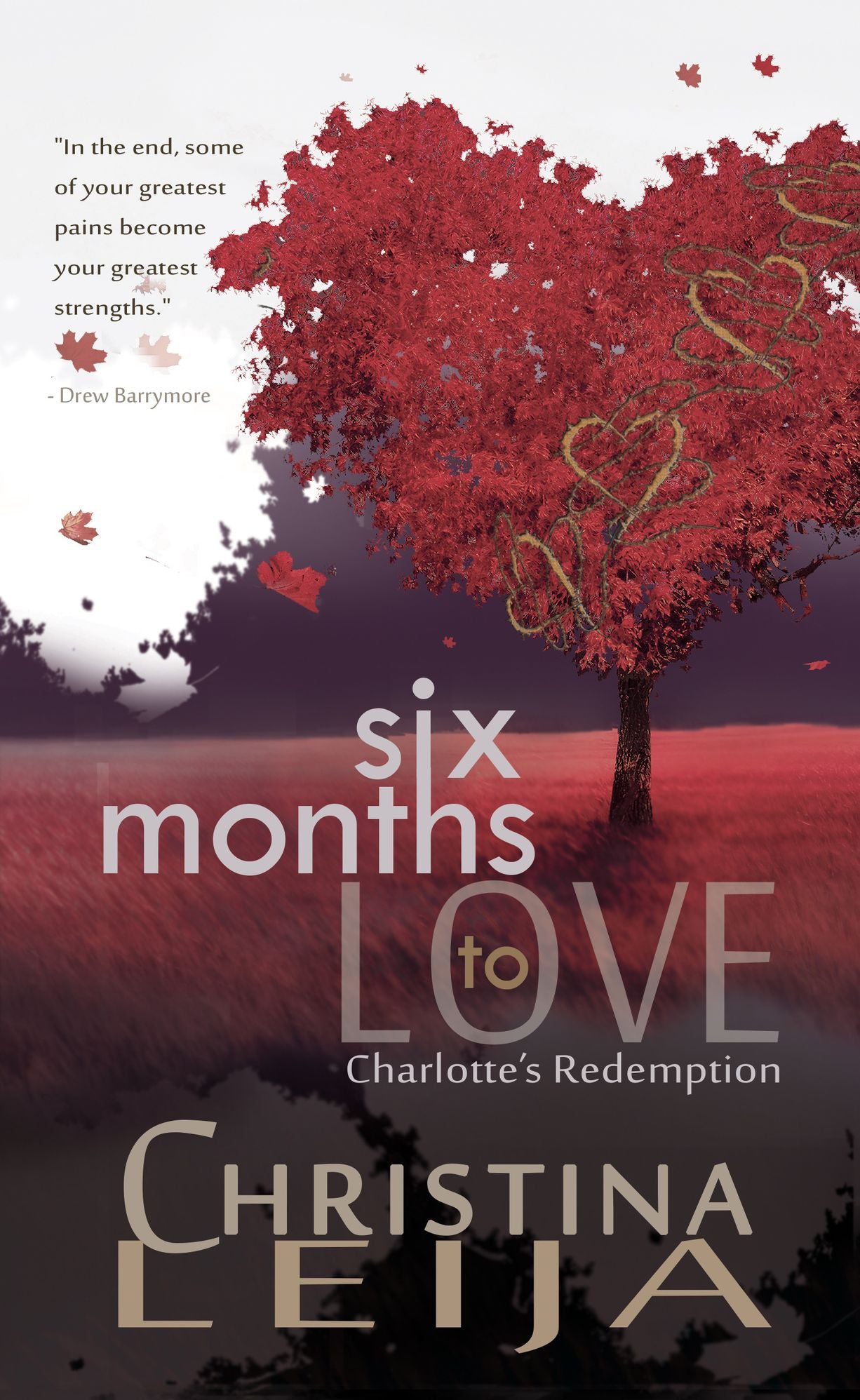 New Six Months To Love B&N