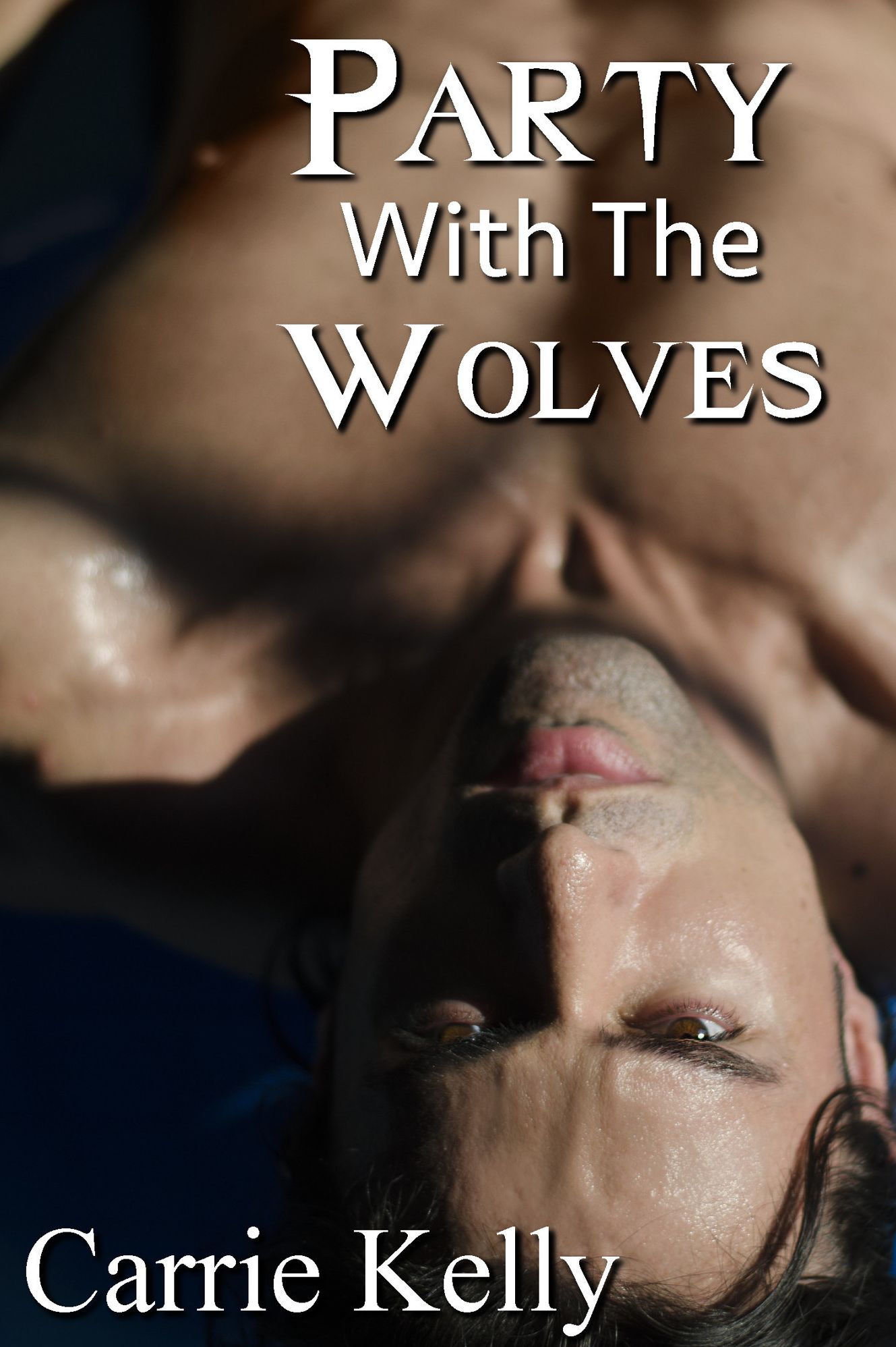 Party With The Wolves (BBW Werewolf Gang Bang)