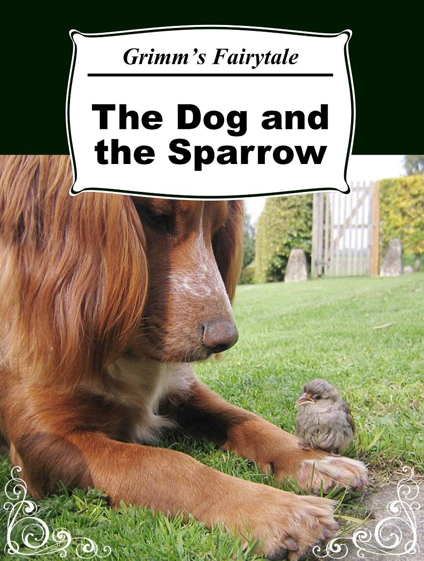 The Dog and the Sparrow