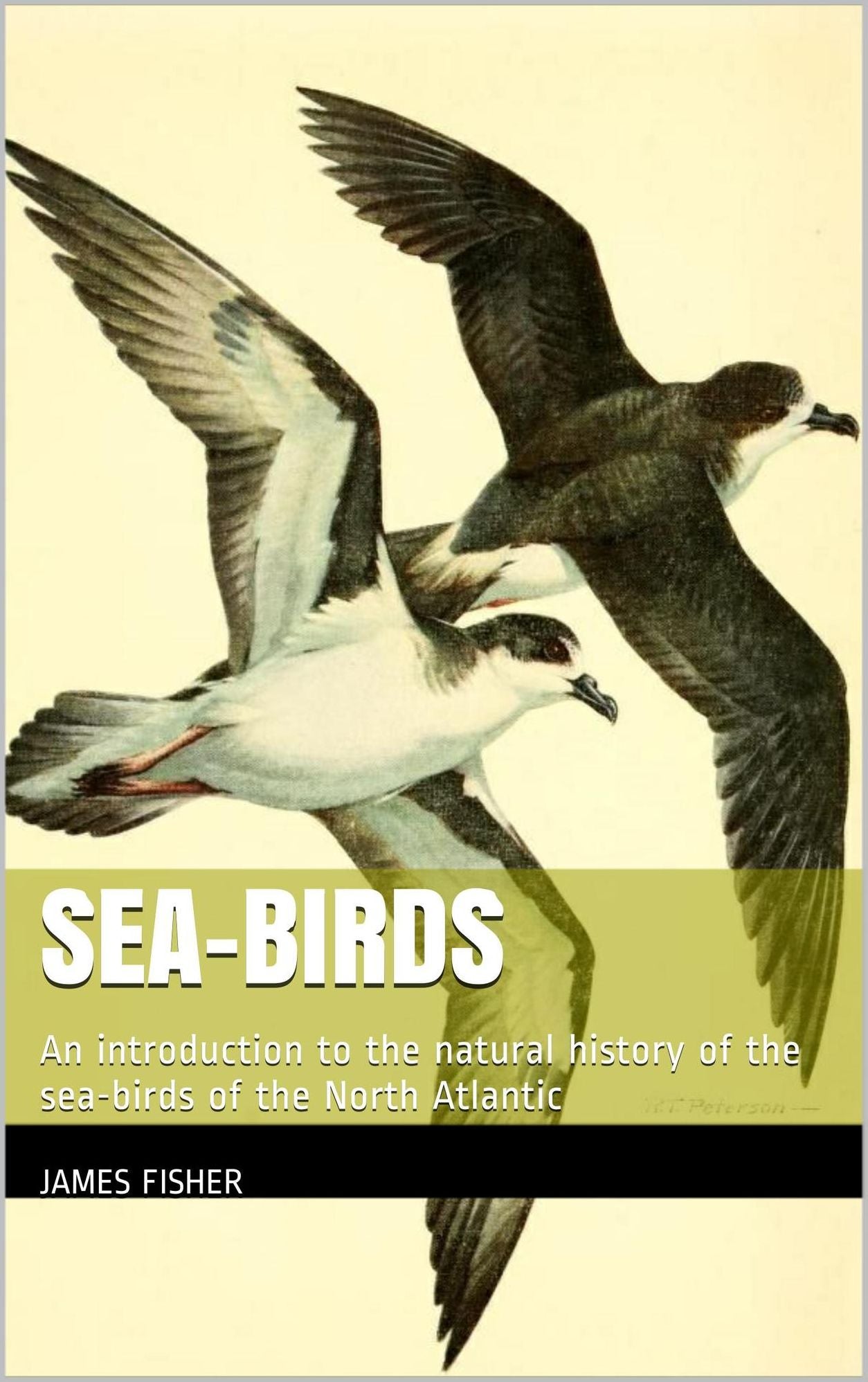 Sea-birds : an introduction to the natural history of the sea-birds of the North Atlantic