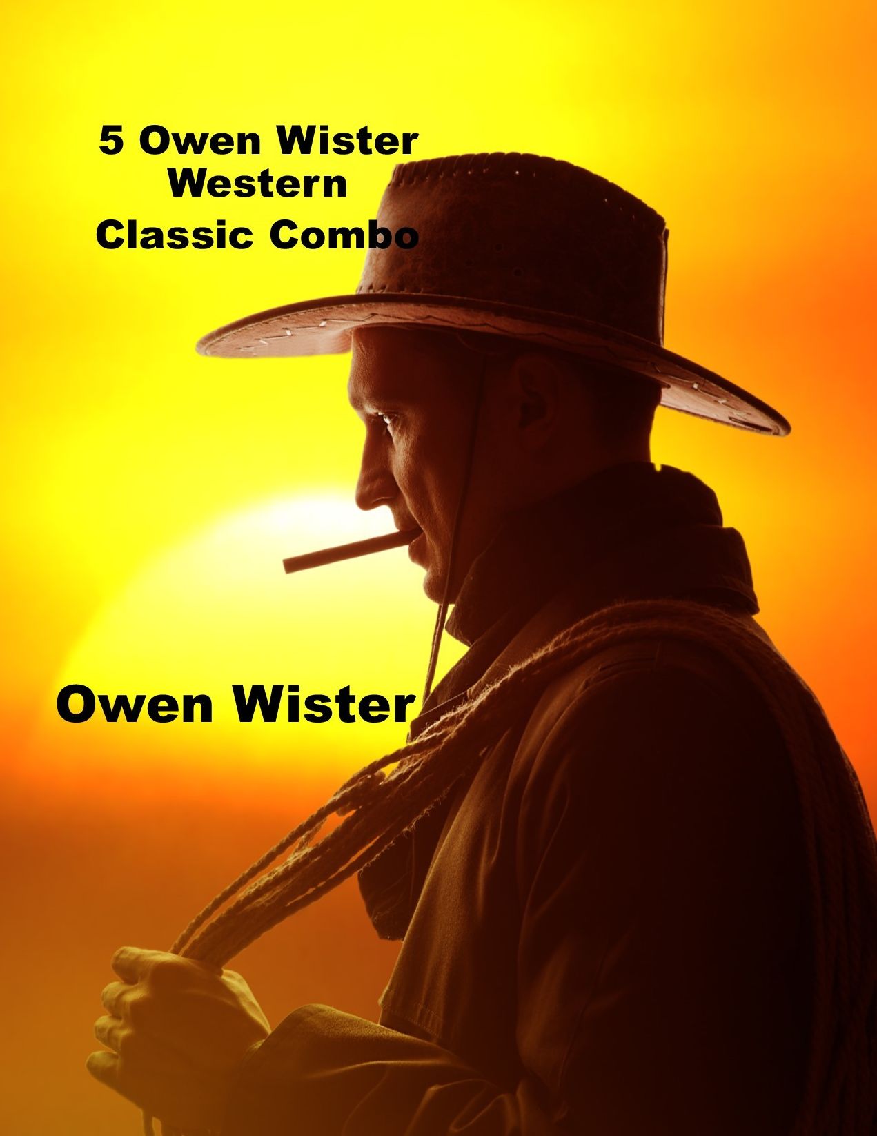 5 Book Owen Wister Western Classics Combo
