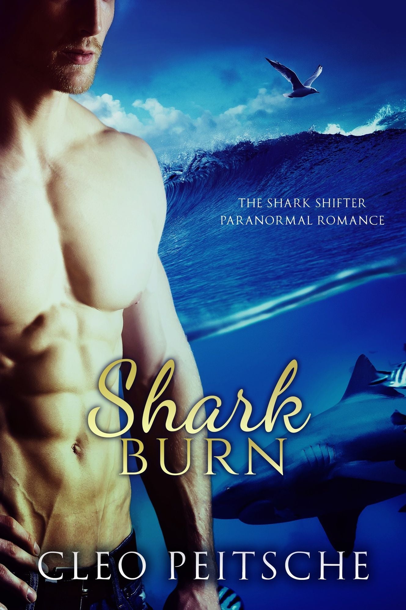 Shark Burn