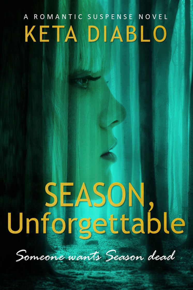 Season, Unforgettable (Contemporary New Adult)