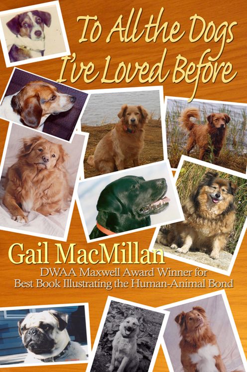 To All the Dogs I've Loved Before