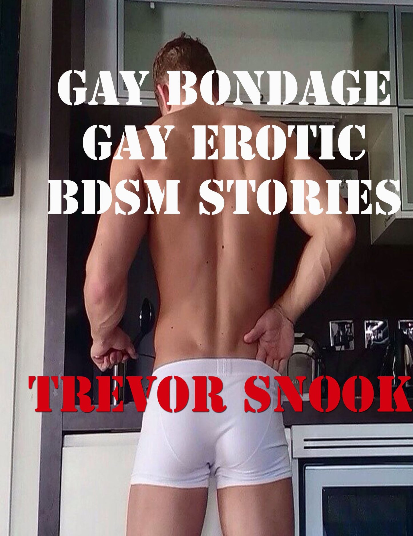 Gay Bondage Gay erotic BDSM stories