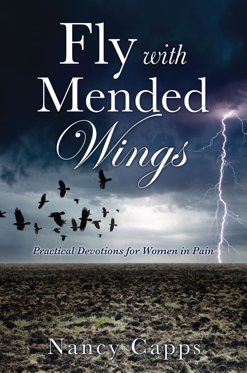 Fly With Mended Wings