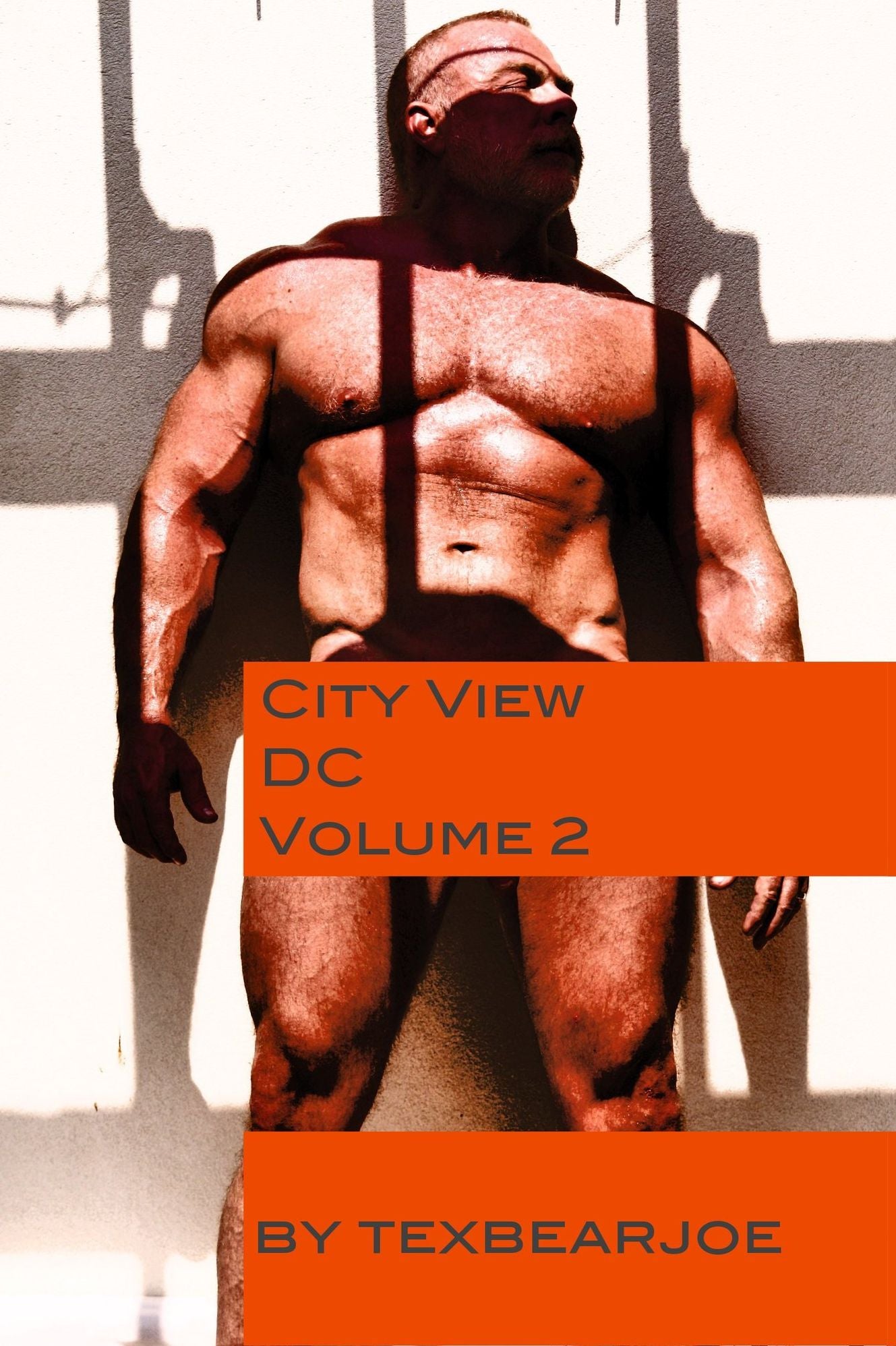 City View Washington DC Volume 2