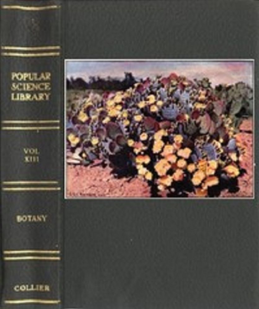 Botany (Illustrated)