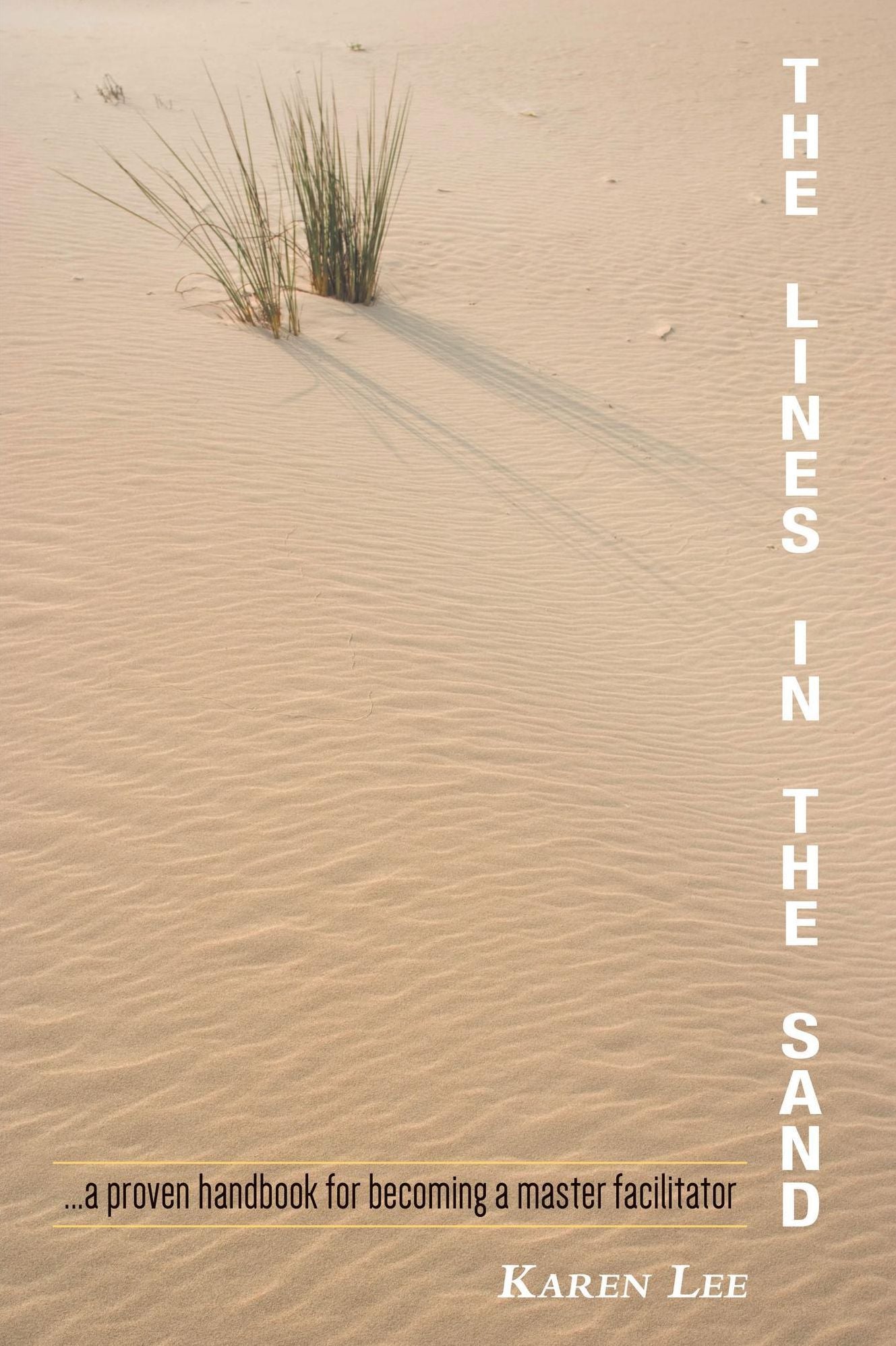 The Lines in the Sand...a proven handbook for becoming a master facilitator