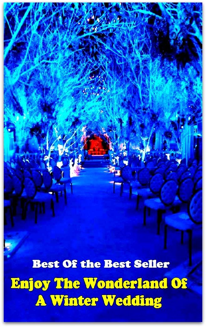Best of the Best Sellers Enjoy The Wonderland Of A Winter Wedding (chill, humidity, coldness, chillness, cold, frost, jack frost, wintertime, wintertide, parky)