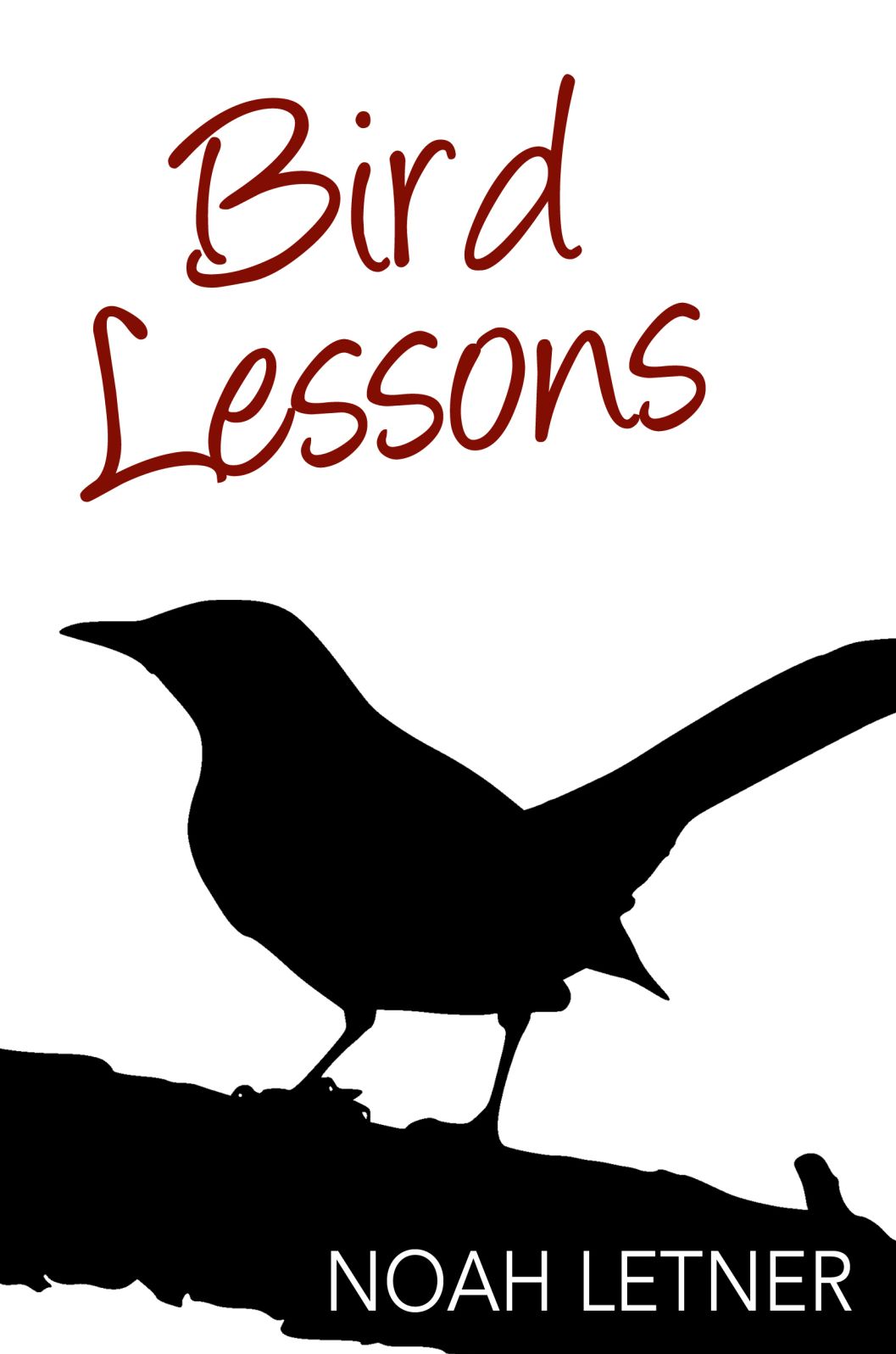 Bird Lessons