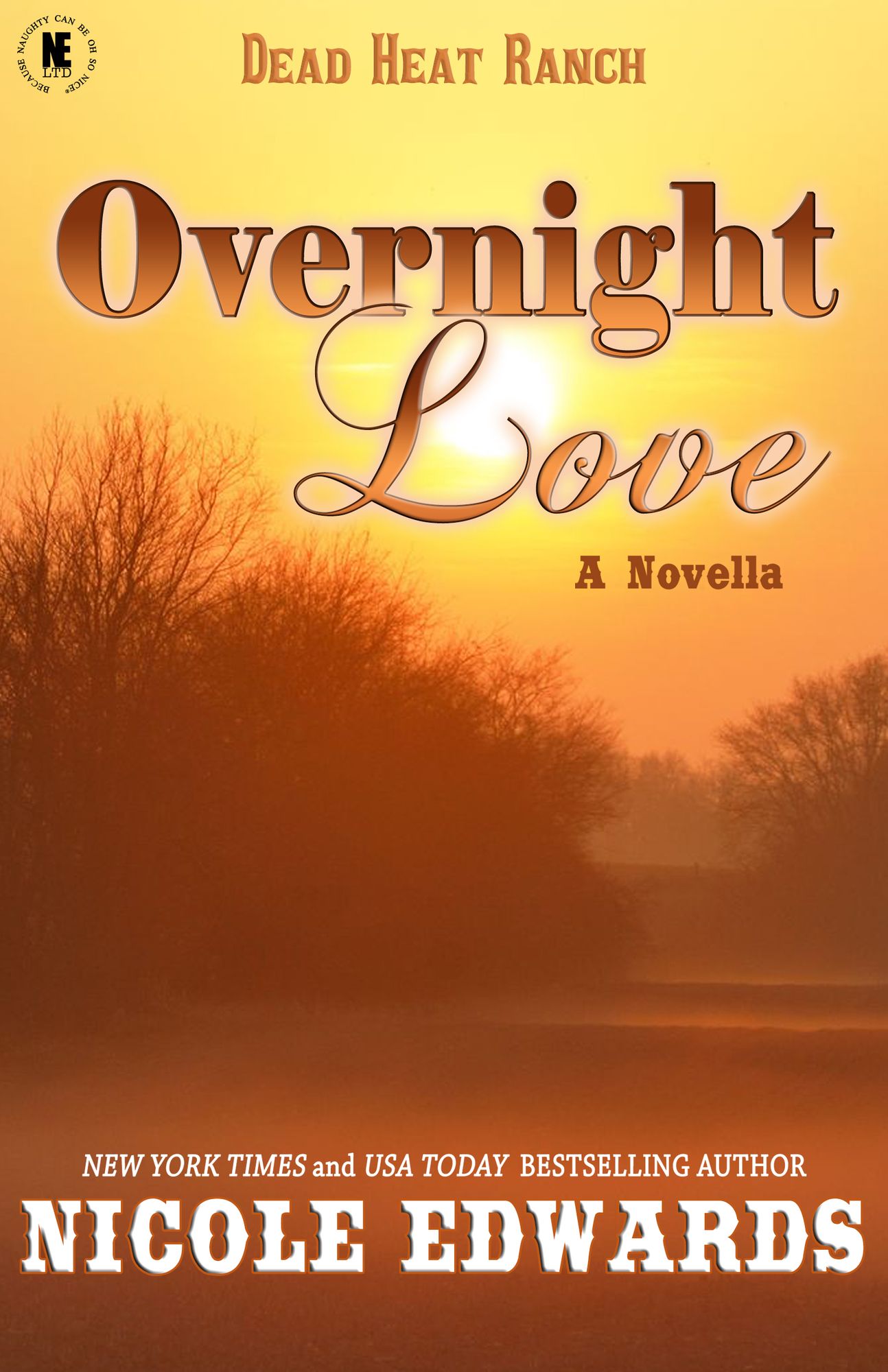 Overnight Love