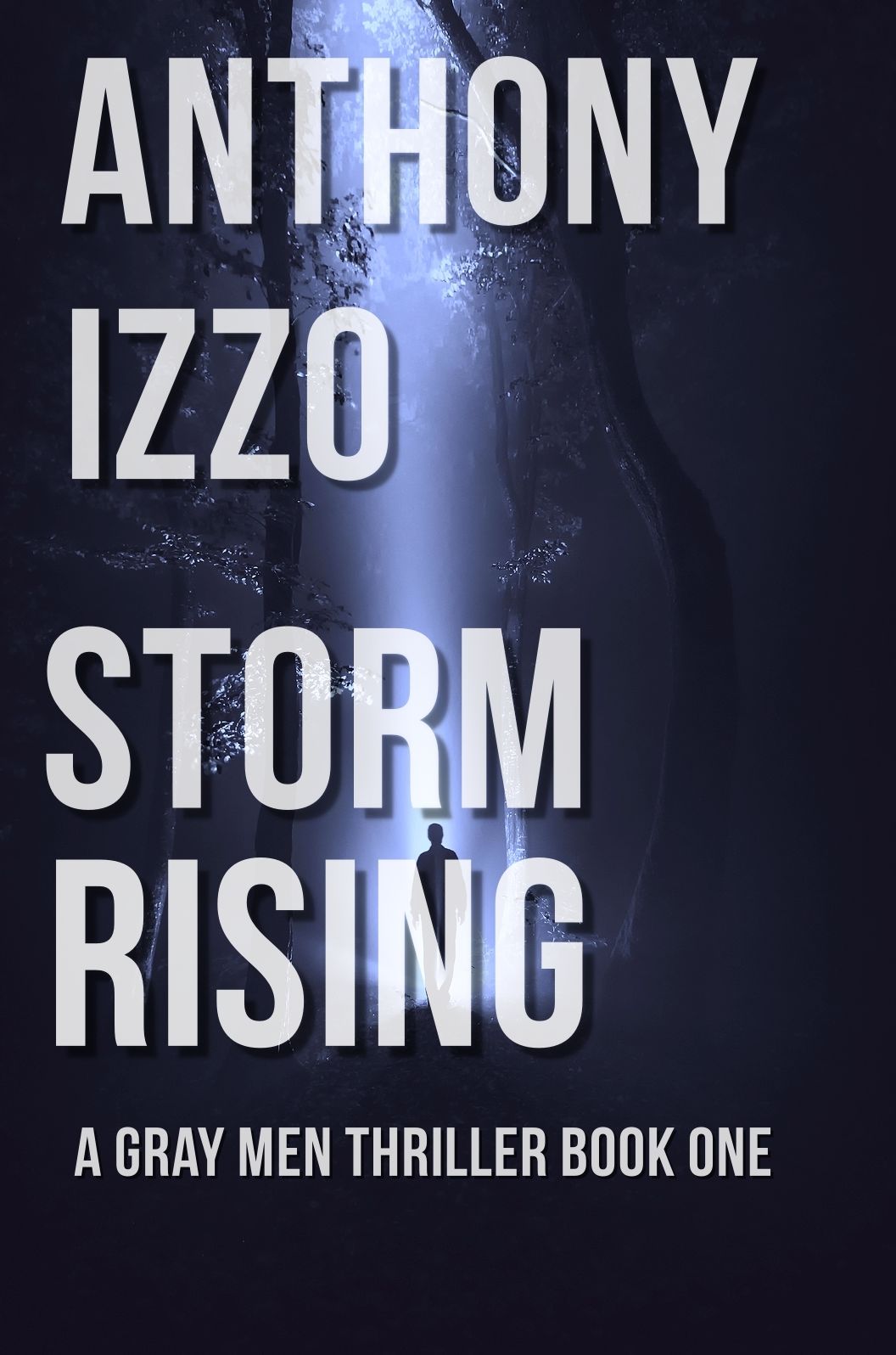 Storm Rising (A Gray Men Thriller, Book One)