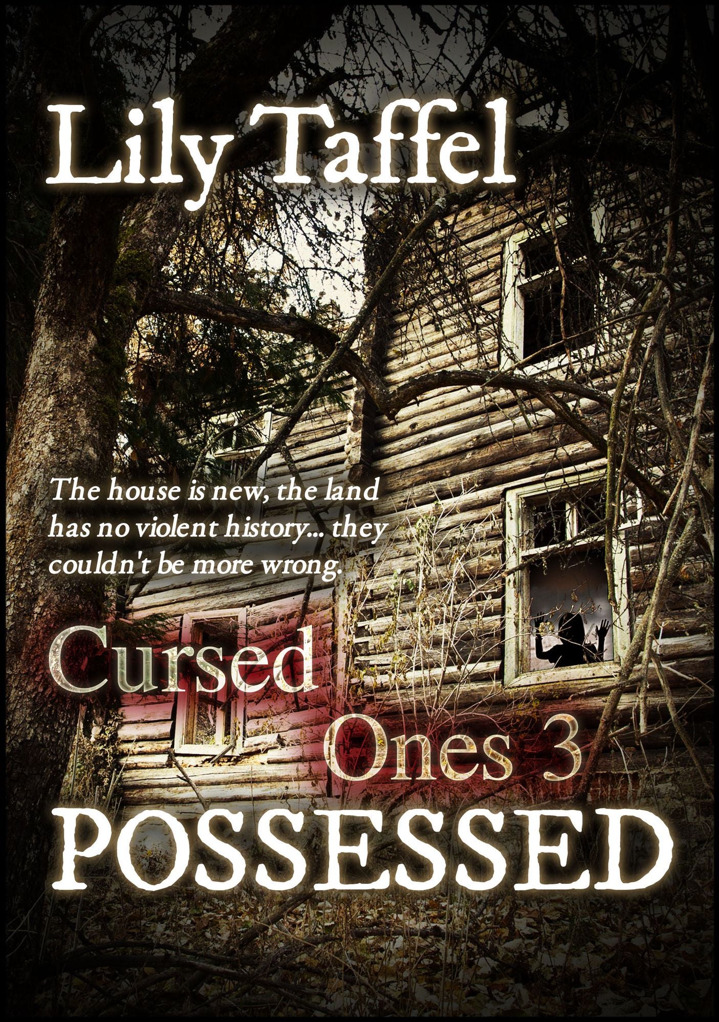 Possessed: Cursed Ones 3