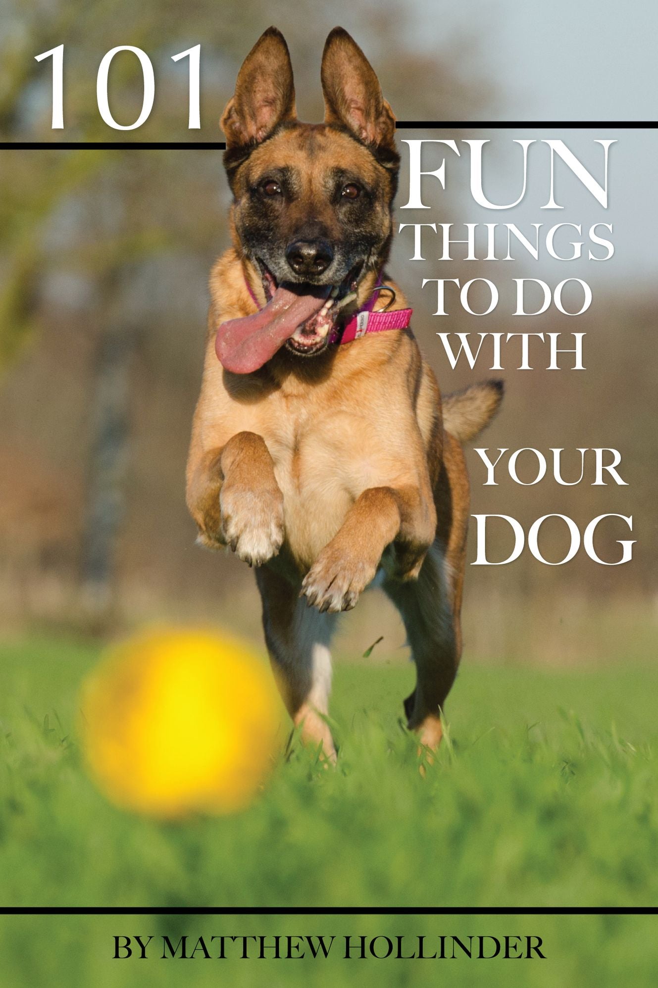 101 Fun Things to Do With Your Dog