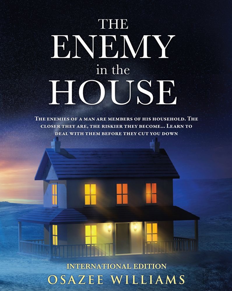 THE ENEMY IN THE HOUSE