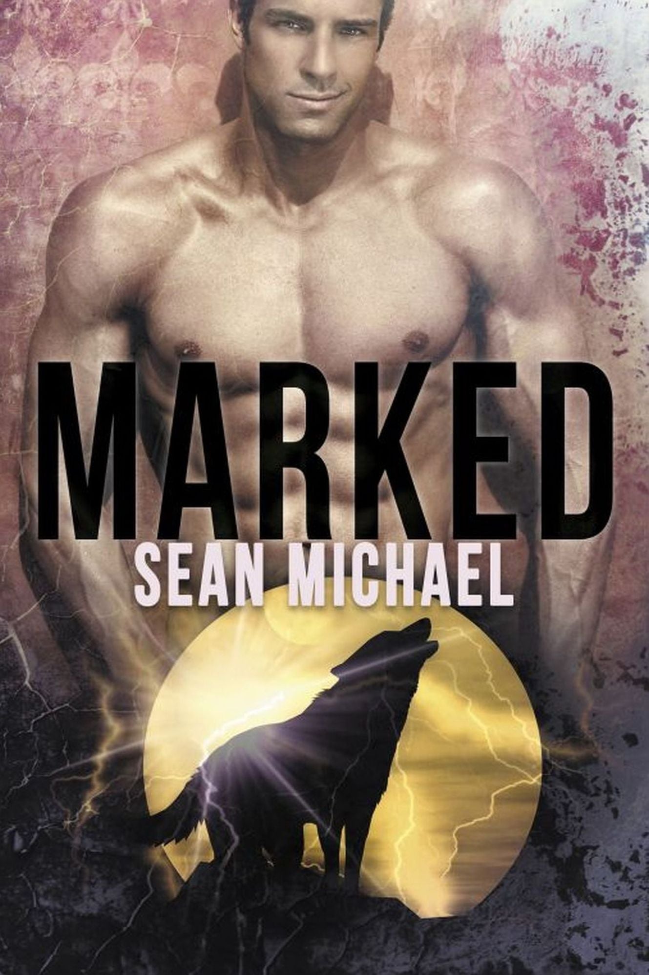 Marked (Gay Shapeshifter Romance) by Sean Michael