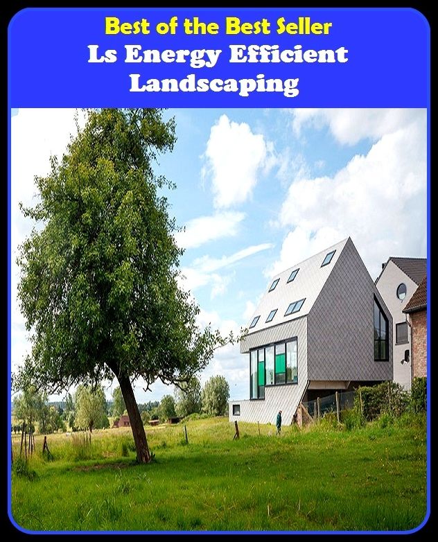 Best of The Best Sellers	Ls Energy Efficient Landscaping (efficiency, intensity, power, spirit, mina, strength, toughness, vitality, activity, animation)