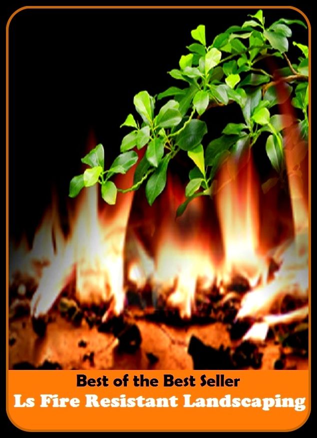 Best of The Best Sellers	Ls Fire Restant Lalndscaping (blaze, bonfire, heat, inferno, campfire, charring, coals, combustion, conflagration, devouring)