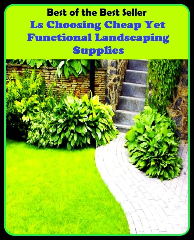 Best of The Best Sellers	Ls Choosing Cheap Yet Functional Landscaping Supplies (culling, deciding, electing, picking, separating, choice, election, exercising judgment, making a choice)