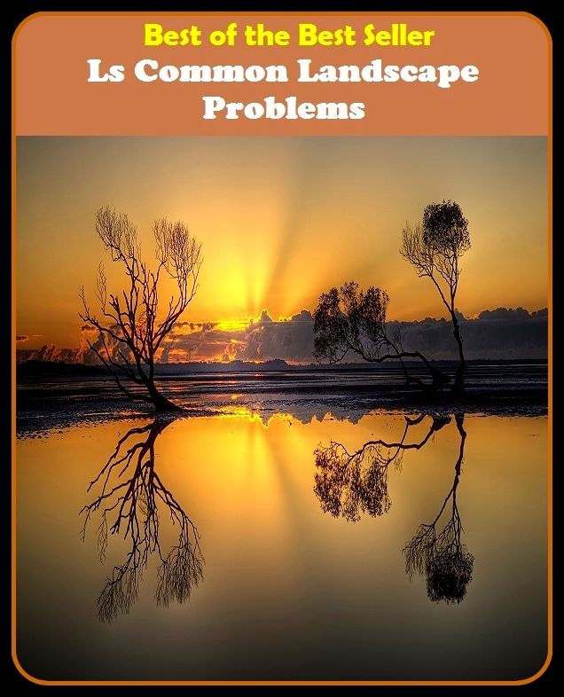 Best of The Best Sellers	Ls Common Landscape Problems (Mystery, conundrum,enigma , question,riddle,secrecy,subtlety,thriller,abstruseness ,charade)