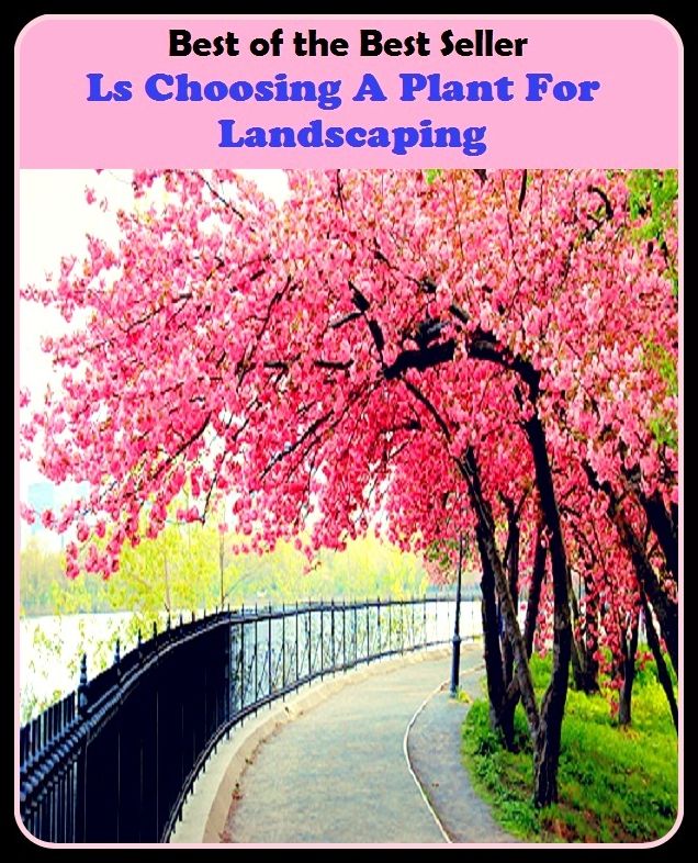 Best of The Best Sellers	Ls Choosing A Plant For Landscaping (Orchard, woodlet, grove, garden, plantation, grove, vineyard, fruit garden, coppice, thicket)