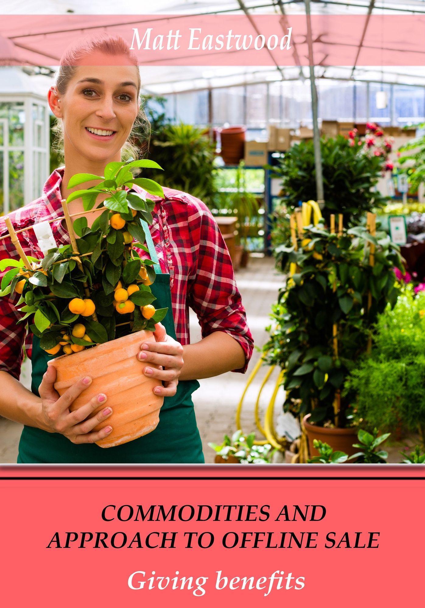 Commodities and approach to offline sale