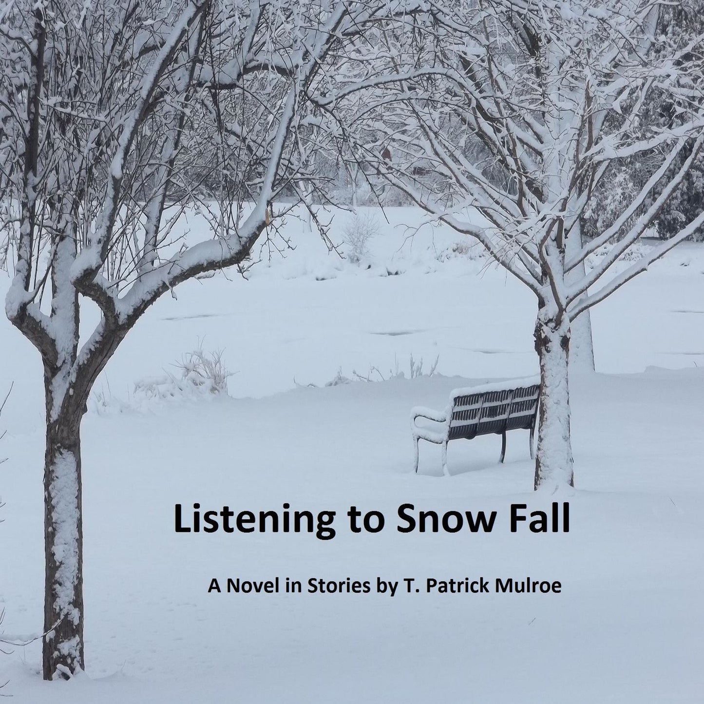 Listening to Snow Fall: A Novel in Stories