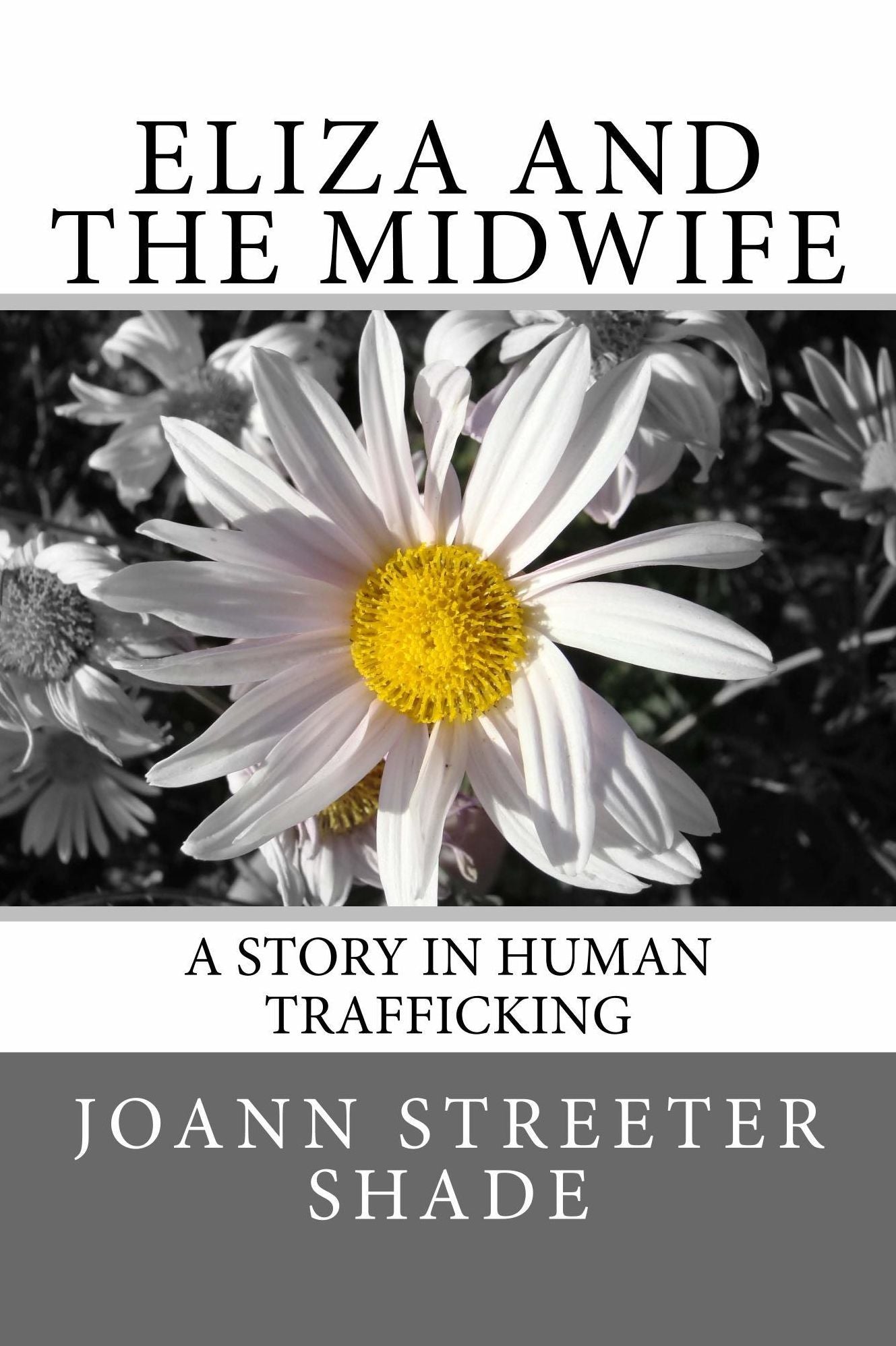 Eliza and the Midwife: A Story in Human Trafficking