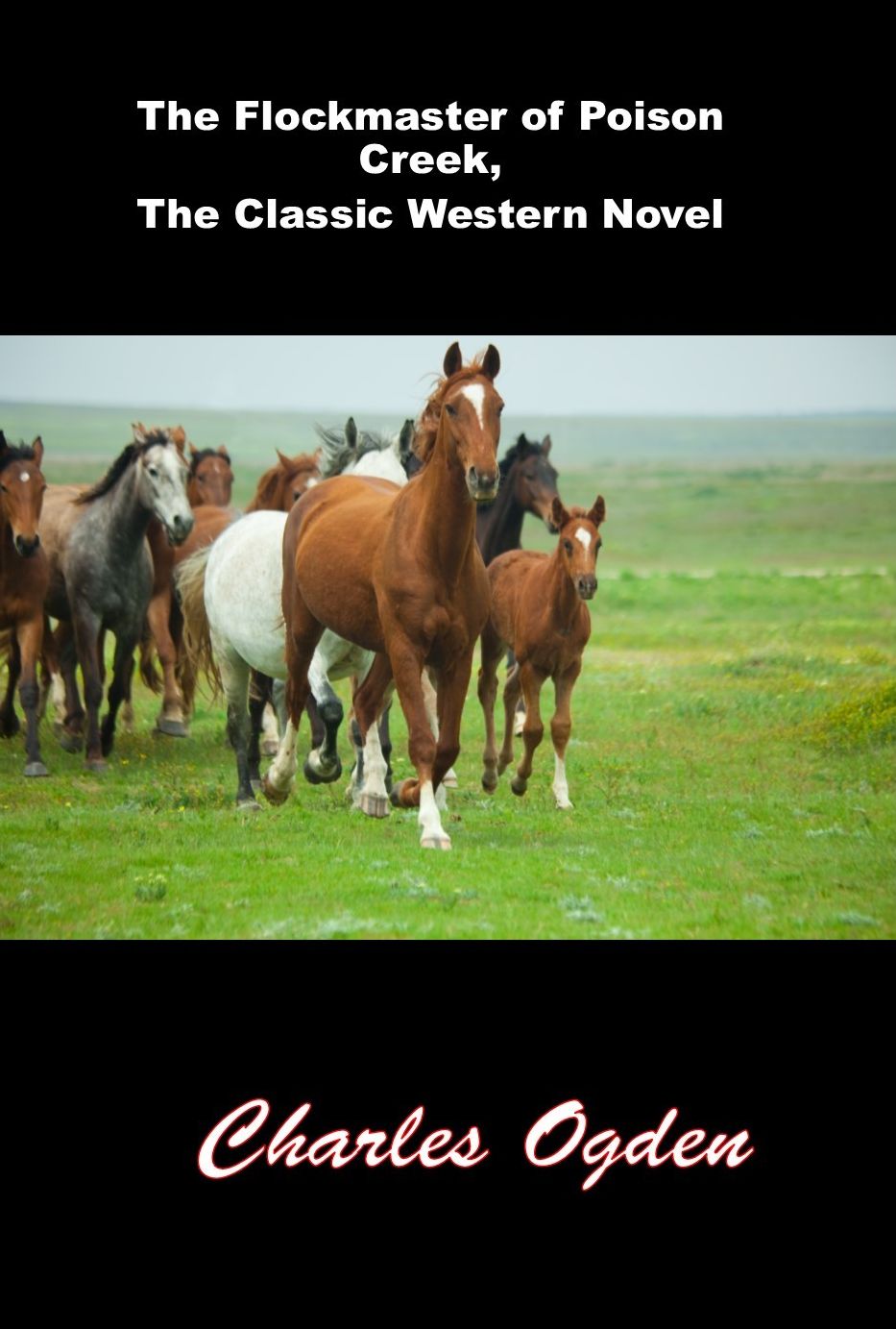 The Flockmaster of Poison Creek, The Classic Western Novel