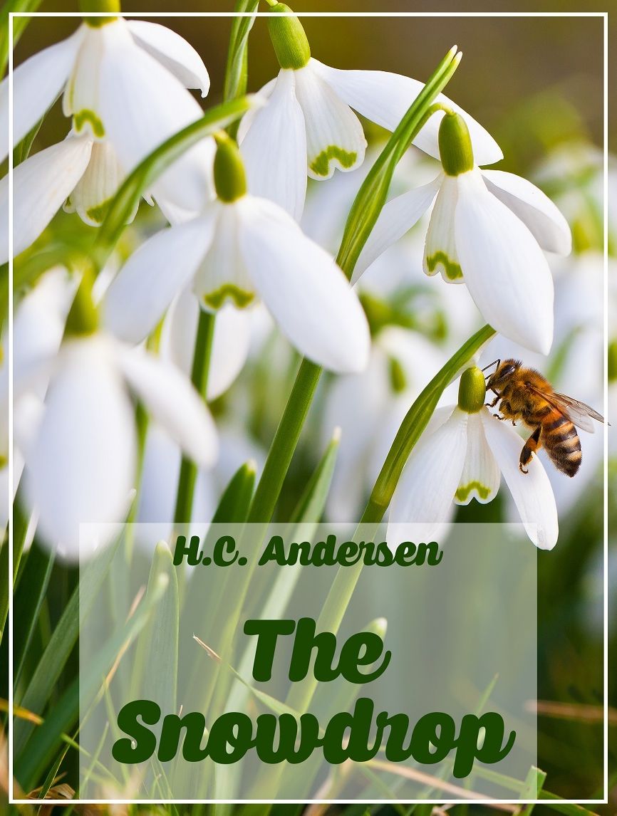 The Snowdrop