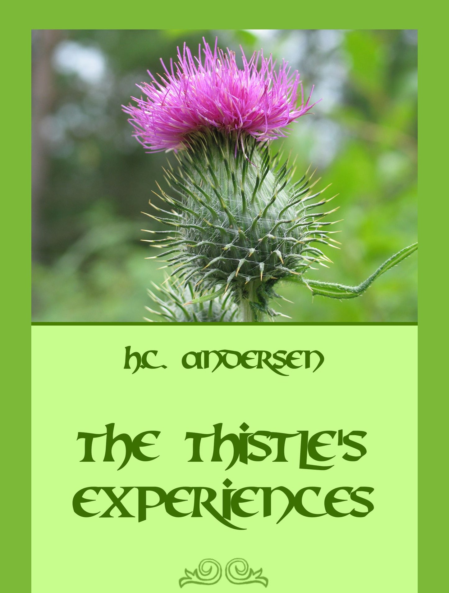 The Thistle's Experiences
