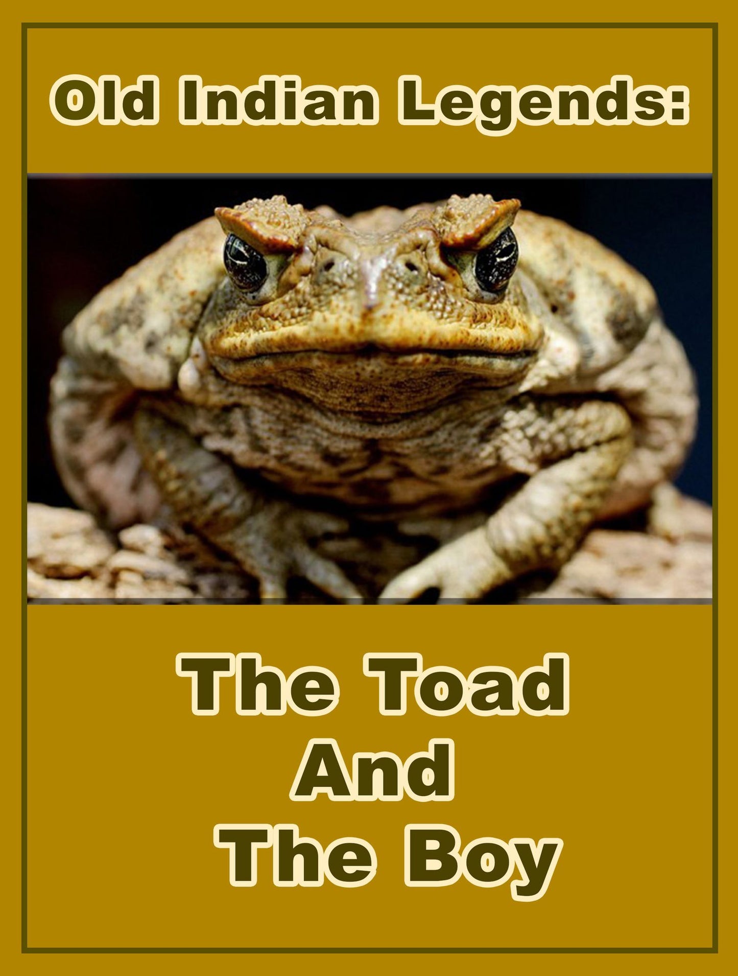 The Toad And The Boy