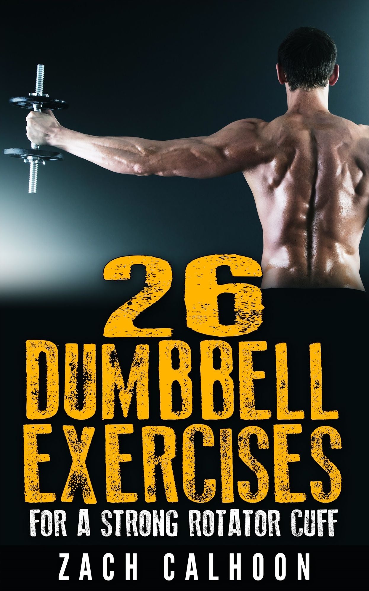 26 Dumbbell Exercises For A Strong Rotator Cuff
